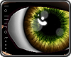 *L� iSheen Hazel