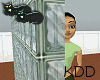 *KDD Bright and clear
