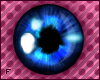~F~ Dark blue eyes