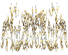 line gold