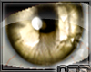 [n77] JustEyes Gold