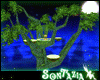 Treetop Garden