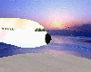 Queen~B~ private jet