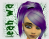 Arachnia Purple Dream