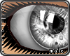 *L� iGlass Silver
