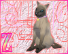 Neo-Siamese Cat