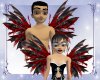 ANIM SHREDDED GOTHIC WIN