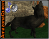 )o( Dark Wolf