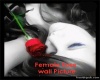 rose picture