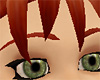 Bright Auburn Eyebrows