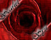 Syn Header