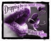 Purple Kiss