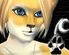 [N]Goldenwolf Skin {M}