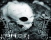 {PN13} Skull Card