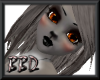 BBD Gray Kitty Bundle