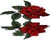 rose sticker