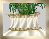 Elegant Table Fern