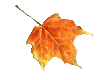sticker_2487428_4350141