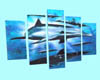 Dolphine Dreams