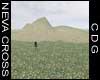 NC-Grassy Knolls 2