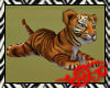 Safari Tiger Baby Orange