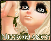[bs]Necromancy