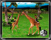 [ACS] WILD SAFARI