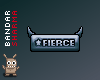 (BS) FIERCE sticker