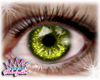 ShineShimmer Eyes Lime