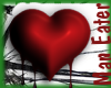 ! bleeding heart (trans)