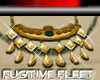 [*]Fleet Medallion