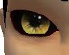 Wild eyes