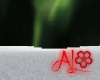 Aurora Borealis Animated