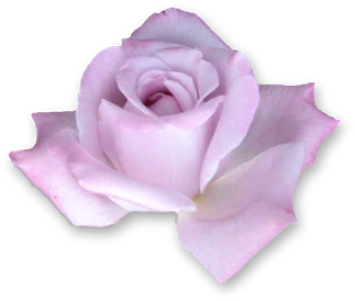 sticker_5260502_16929759
