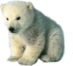 sticker_11549544_19442985