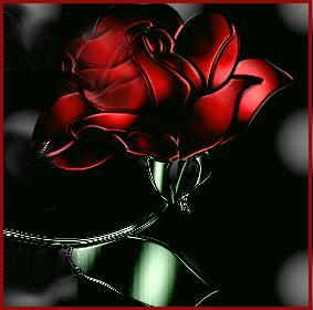 sticker_13304681_35157205
