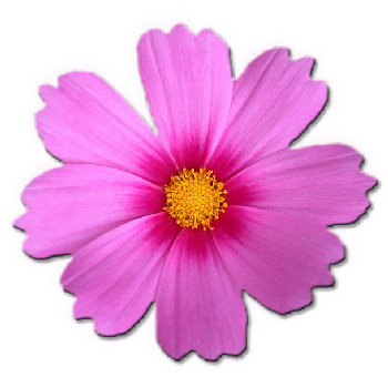 sticker_20960216_28815233