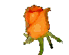 sticker_16571666_38570673