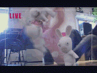 sticker_25388295_37600792