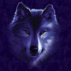 sticker_20500955_29331462
