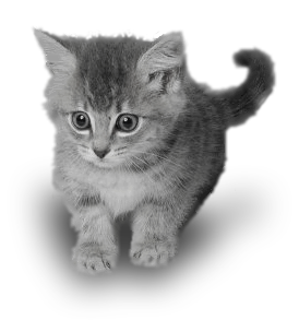 sticker_9160086_34614741
