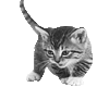 sticker_5353193_26861398