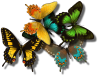 sticker_18464784_39344760
