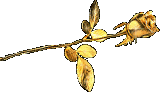 sticker_20378434_37639446