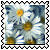 sticker_721378_39193051