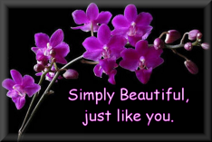 sticker_9147000_24310926