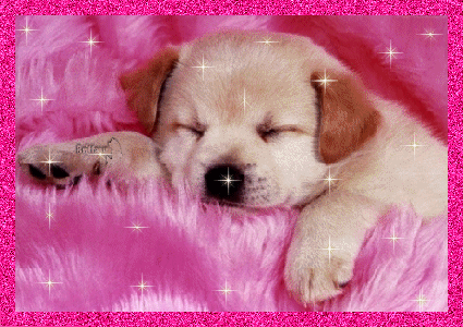 sticker_16350985_21246675