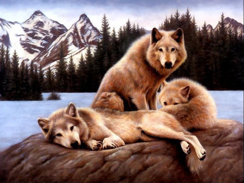 sticker_3577708_15220609