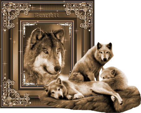 sticker_10041704_20499125