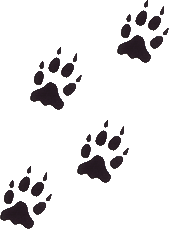 sticker_12900847_29429522